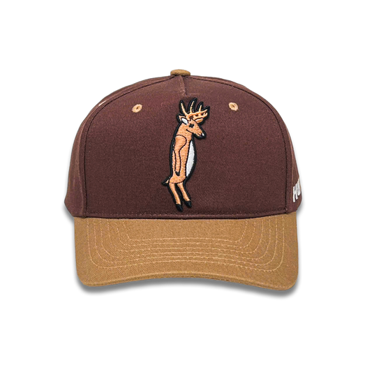 Brown/Tan Snapback